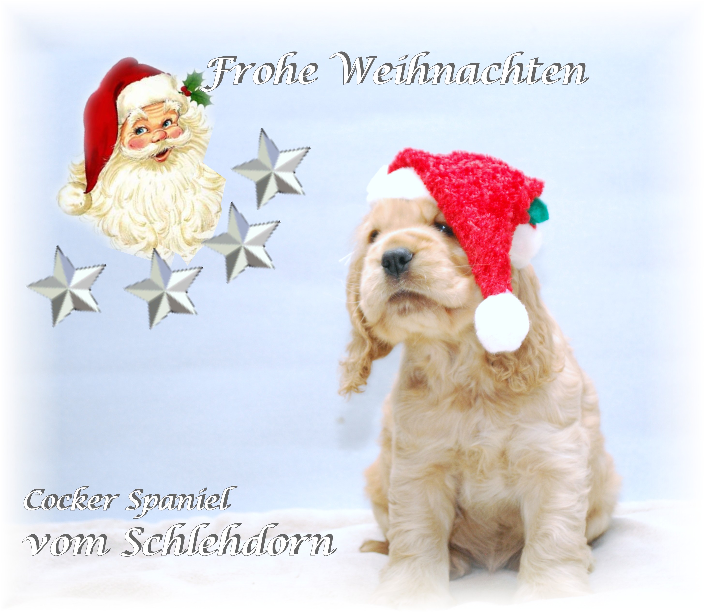 Weihnachten0110