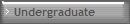 Undergraduate