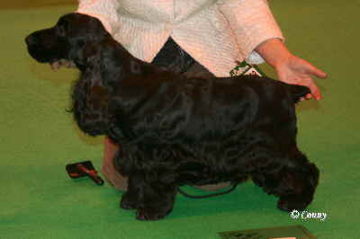 b4Cruft2009 104