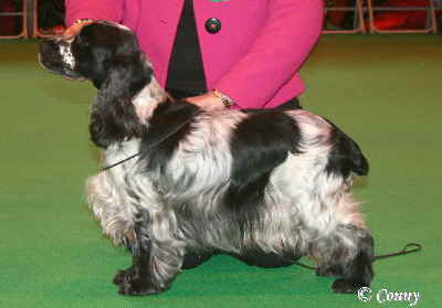 b4Cruft2009 129